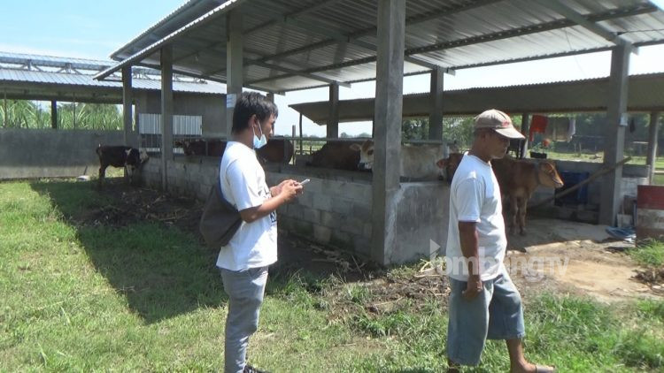 Bantuan UPPO Kementan di Jombang Tak Maksimal