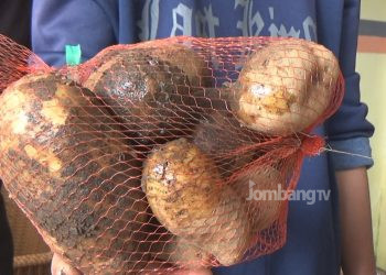 KPM di Jombang Terima Komoditi Kentang Busuk Dalam Bansos Pangan Kemensos