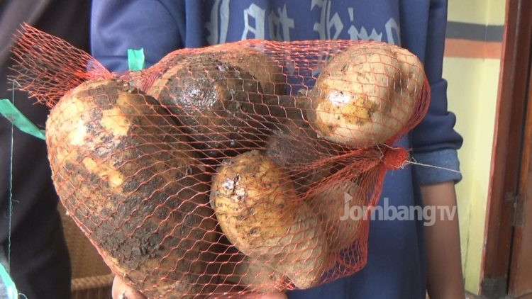 KPM di Jombang Terima Komoditi Kentang Busuk Dalam Bansos Pangan Kemensos