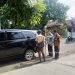 PUPR Jombang Lakukan Pensertifikatan Ruas Jalan Desa Pucangsimo Melalui Program PTSL