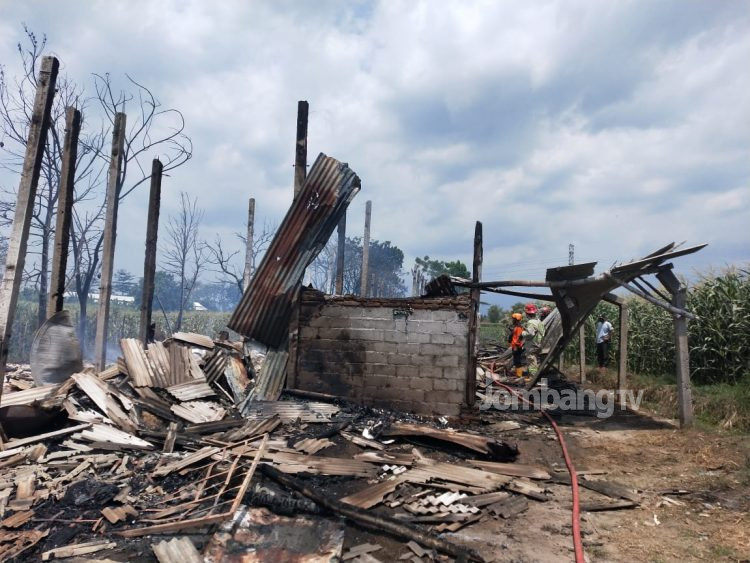 Kandang Ayam Berkapasitas 6 Ribu Ekor Terbakar Hebat