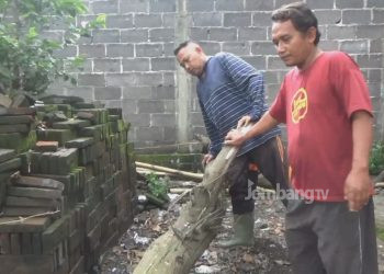 Pohon Tumbang Timpa Guru Ngaji. Satu Meninggal Satu Luka