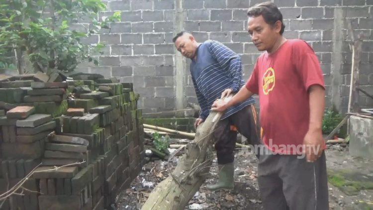 Pohon Tumbang Timpa Guru Ngaji. Satu Meninggal Satu Luka