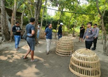 Arena Judi Sabung Ayam Digerebek, Polisi Sita 10 Kurungan