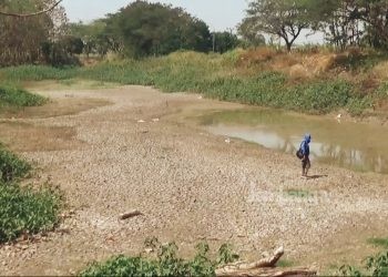 Kemarau, 14 Embung di Jombang Mengering