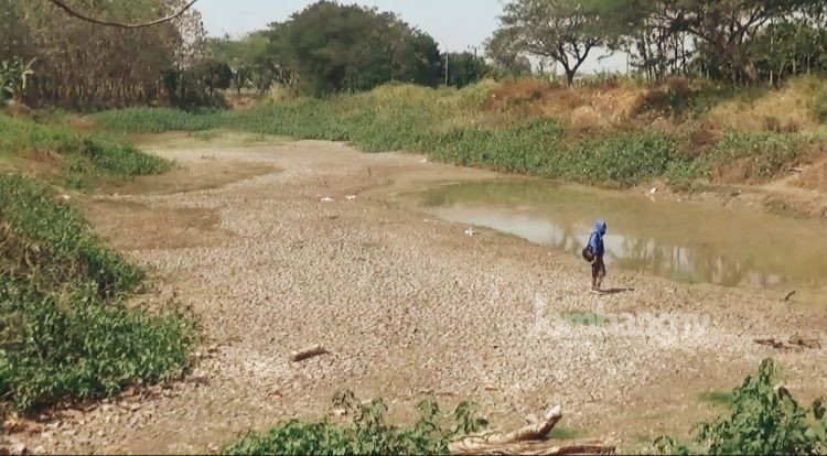 Kemarau, 14 Embung di Jombang Mengering