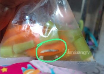 Hiii…. Ada Belatung di Makanan Penambah Gizi Stunting