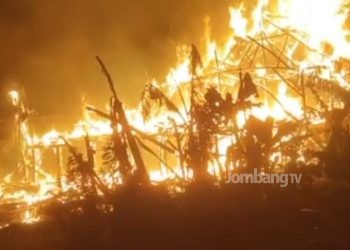 Kandang Terbakar, 8 Ribu Ekor Ayam Mati Terpanggang