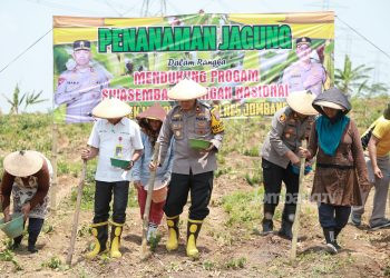 Polres Jombang Tanam Jagung di Lahan Kosong Seluas 12 Hektare