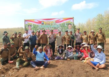 Dukung Program Ketahanan Pangan, Polsek Kabuh Manfaatkan 4 Hektar Lahan Kosong