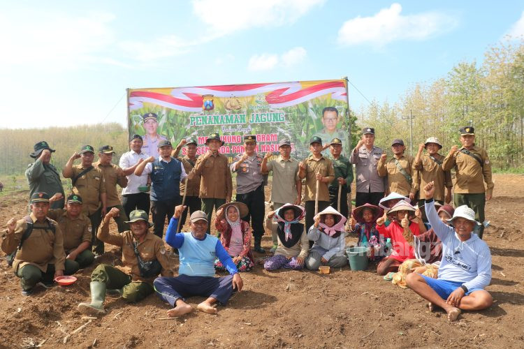 Dukung Program Ketahanan Pangan, Polsek Kabuh Manfaatkan 4 Hektar Lahan Kosong
