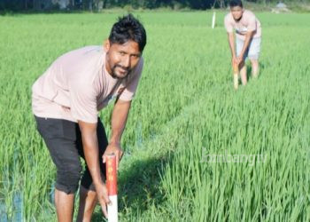 Reforma Agraria, Badan Bank Tanah Diharap Mampu Wujudkan Pemerataan Ekonomi dan Ketahanan Pangan