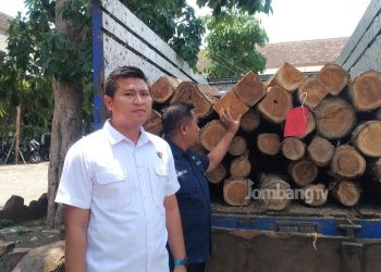 Kasus Illegal Logging, Perangkat Desa di Jombang Ditangkap Polisi