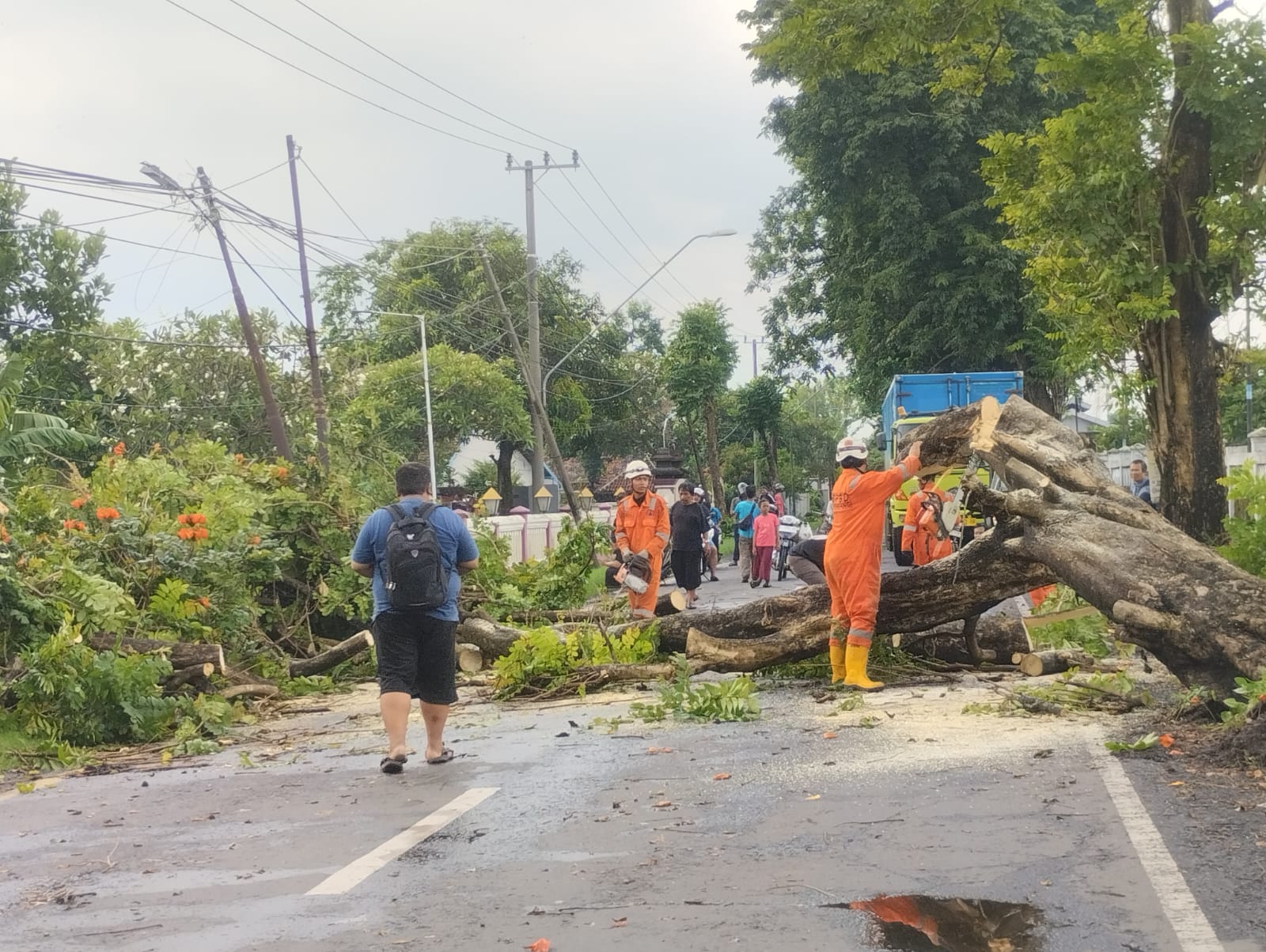Petugas dai BPBD Kabupaten Jombang mengevakuasi pohon tumbang akibat hujan deras disertai angin kencang, Minggu (2/11)