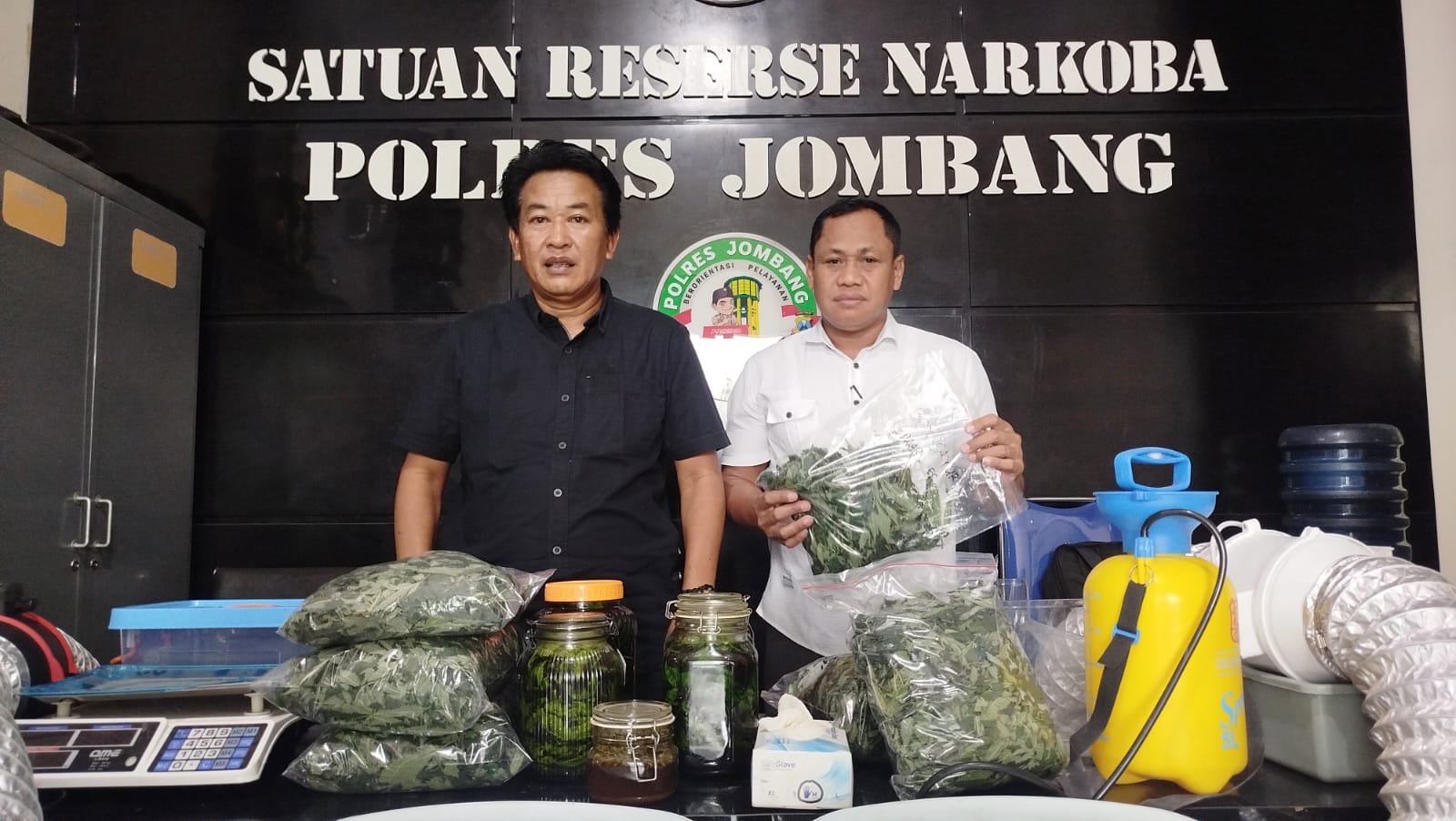 Pelaku Penanam Ganja di Jombang Buat Eksperimen Minuman Daun Campur Alkohol
